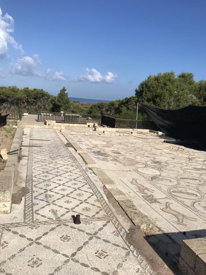 Apartment Caesarea 38 外观 照片